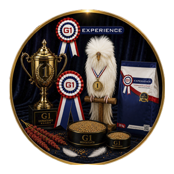 G1 Experince