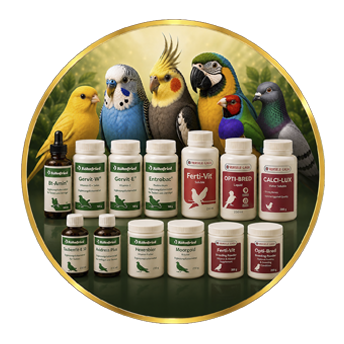 Kuş Vitaminleri & Özel Katkıları