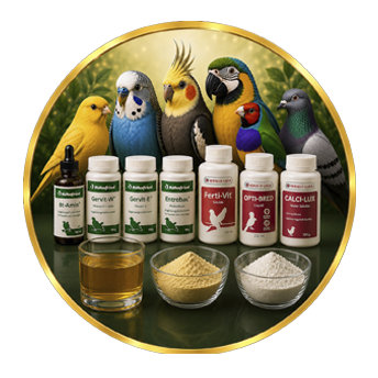 Bölünmüş Kuş Vitaminleri & Özel Katkıları