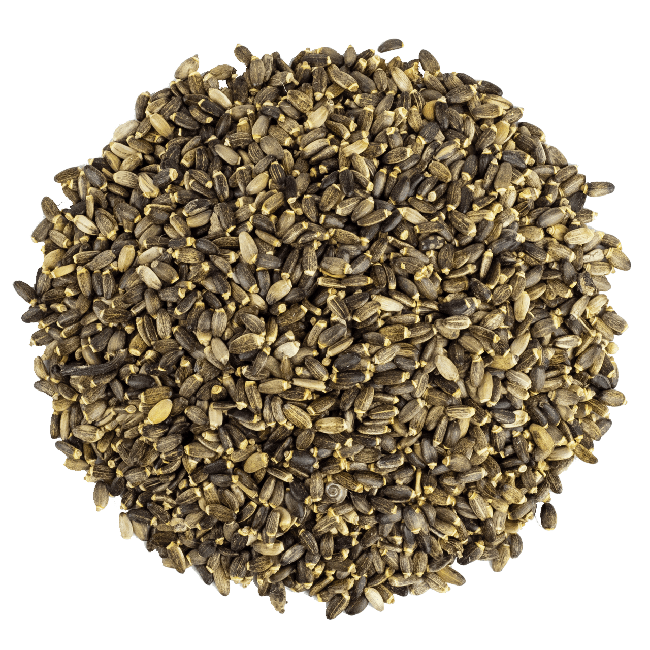 G1 Experience Premium Mikro DeveDikeni Tohumu 1 Kg