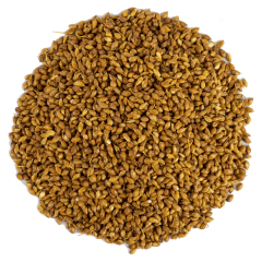 G1 Experience Premium Tozsuz Süpürge Tohumu 250 gr