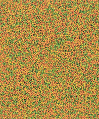 Versele Laga Nutribird B14 Muhabbet Kuşları Ve Mini Paraketler İçin Meyveli Pelet Yem (B) 1 kg