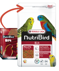 Versele Laga Nutribird B14 Muhabbet Kuşları Ve Mini Paraketler İçin Meyveli Pelet Yem (B) 1 kg