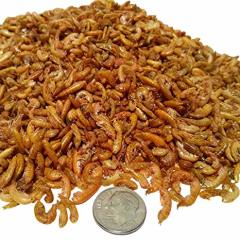 Prodac Tartafood Gammarus Tatlısu Karidesi 1 kg