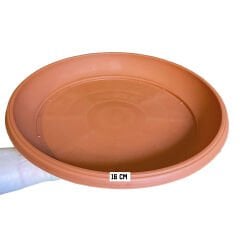 PMB Selections 16 cm Sert Plastik Yemlik Ve Mamalık