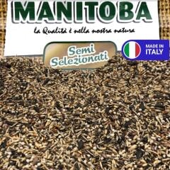 Manitoba Carduelidi Premium Doğa Kuşu ve Saka Yemi (B) 5 kg