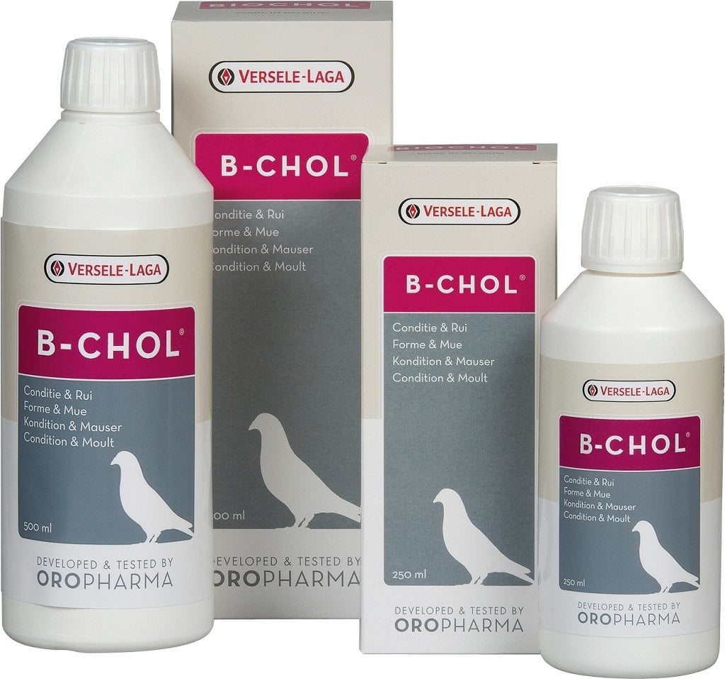 Versele Laga B-Chol Güvercin(Karaciğer Sağlığı)250ML