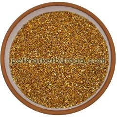 G1-Experience Kızıl Panicium (Elenmiş Alman Dal Darı Tohumu) 1 kg