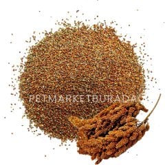 G1-Experience Kızıl Panicium (Elenmiş Alman Dal Darı Tohumu) Vakum Poşetli 1 kg