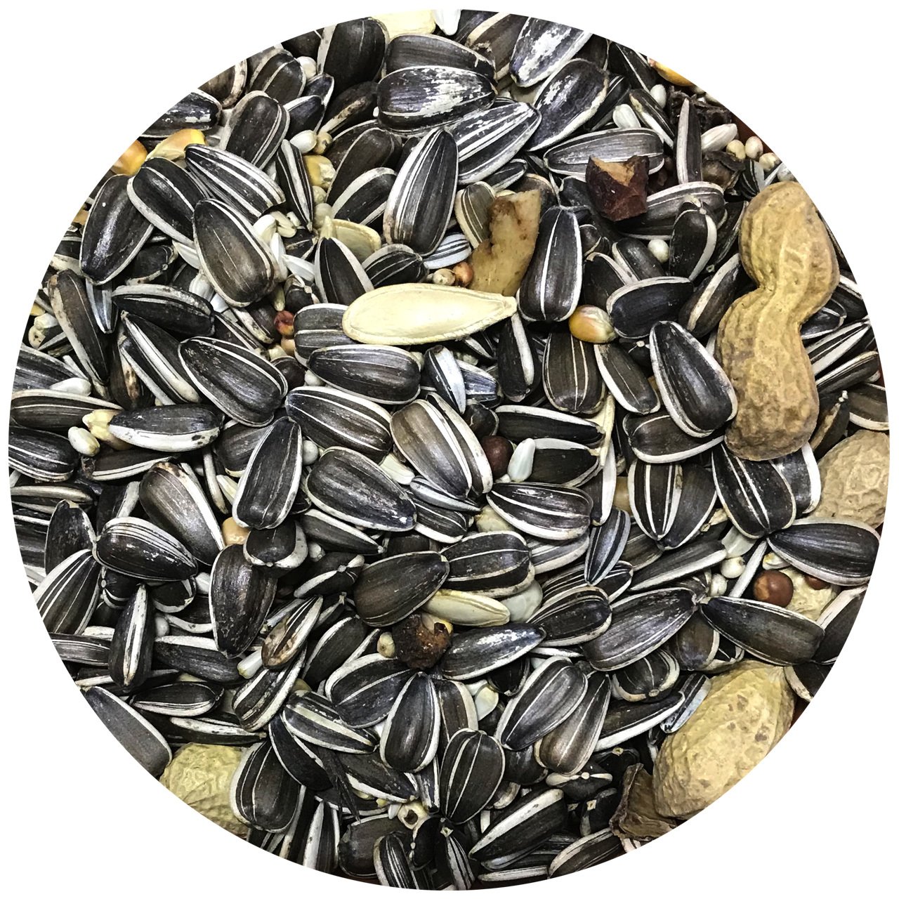 Vivid Bird Premium Tüm Papağanlar İçin Karışık Papağan Yemi 15 kg