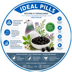 Versele Laga Oropharma İdeal Pills Performans ve Bağışıklık Destek Hapı 500 Adet
