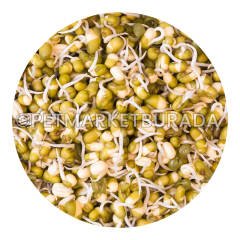 G1 Experience Organik Çimlendirmelik Süper Kalite Maş Fasülyesi (Vakum Paket) 1 Kg