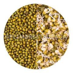 G1 Experience Organik Çimlendirmelik Süper Kalite Maş Fasülyesi (Vakum Paket) 1 Kg