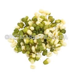 G1 Experience Çimlendirmelik Süper Kalite Maş Fasülyesi (Vakum Paket) 1 Kg