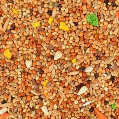 Quik Muhabbet Kuşları İçin Konuşturucu Yem 150 gr