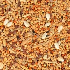 Quik Muhabbet Kuşları İçin Kızıştırıcı Yem 150 gr