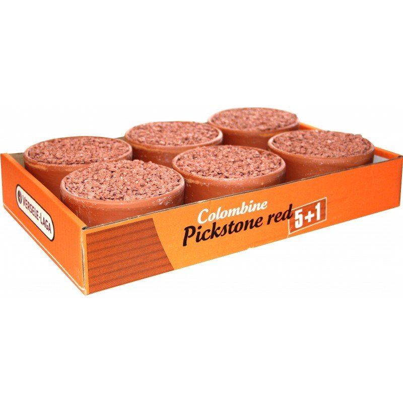 Versele Laga Colombine Pickstone Red Güvercinler İçin Mineral Pastası 600 gr 6'lı Paket