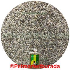 Floralia Pagima Green Sindirim Sistemi Düzenleyici Özel Çim Tohumu 750 gr
