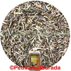 Floralia Delicha Doğal Bağışıklık Sistemi Kuvvetlendirici Özel Tohum 750 gr