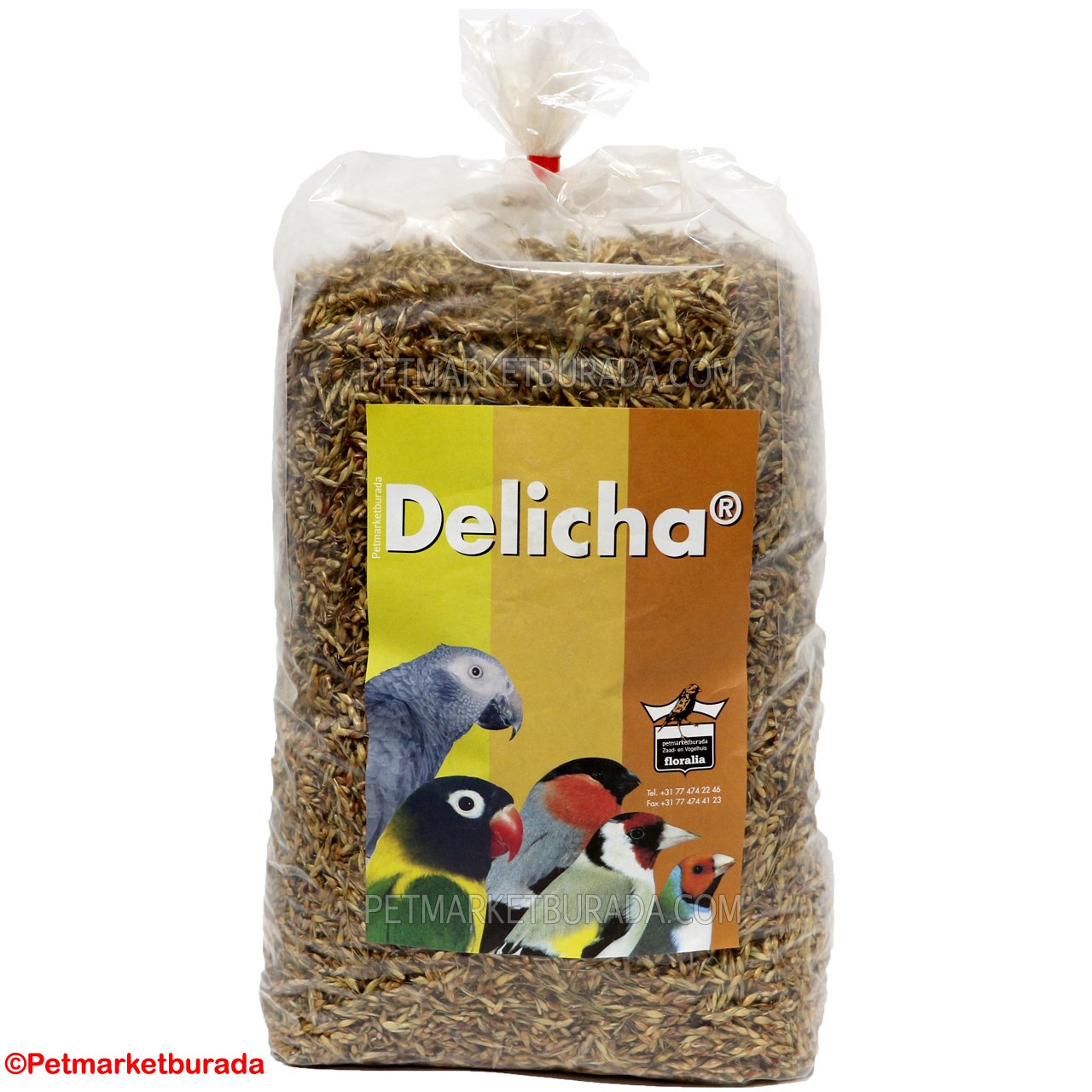 Floralia Delicha Doğal Bağışıklık Sistemi Kuvvetlendirici Özel Tohum 750 gr