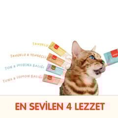 Wanpy Karışık 4 Lezzetli Krema Kedi Ödülü 100'lü Kutu