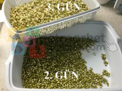 PMB Özel Çimlendirme Aparatı Kendinden Elekli 2 Katlı