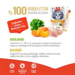 Wanpy Superfood Balkabağı & Kara Lahanalı Krema Kedi Ödülü 5 ad×14 gr