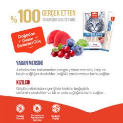 Wanpy Superfood Ton Balıklı Yaban Mersini & Kızılcıklı Krema Kedi Ödülü 5 ad×14 gr
