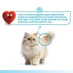 Wanpy Tüy Yumağı Önleyici Fonksiyonel Morina Balığı & TavukKedi Kreması Ödülü 5ad x 14gr