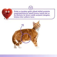 Wanpy Üriner Sistem Sağlığı Destekleyici Ördek & Tavuk Fonksiyonel Kedi Kreması Ödülü 5ad x 14gr