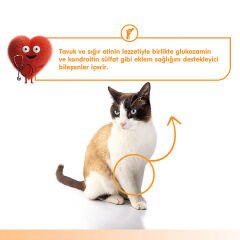 Wanpy Eklem Sağlığı Destekleyici Sığır Eti & Tavuk Fonksiyonel Kedi Kreması Kedi Kreması Ödülü 5ad x 14gr
