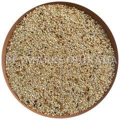 Versele Laga Prestige Tropical Finches Finç Yemi (B) 5 Kg