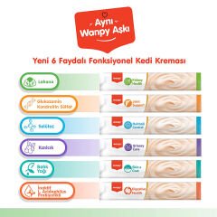 Wanpy Böbrek Sağlığı Destekleyici Tavuk&Sebze Fonksiyonel Kedi Kreması 5ad x 14gr