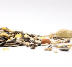 Versele Laga Prestige Parrots Papağan Yemi (OP) 1 Kg