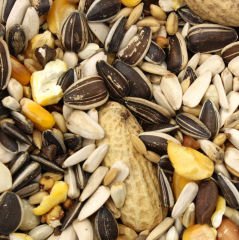 Versele Laga Prestige Parrots Papağan Yemi (OP) 1 Kg