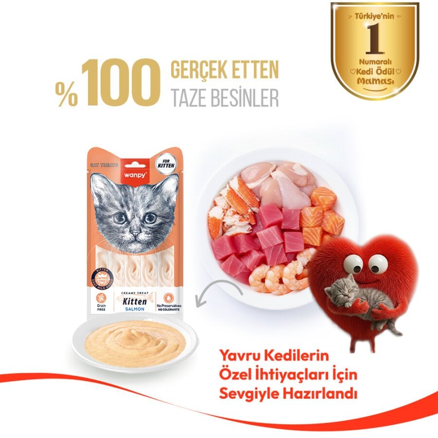 Wanpy Somonlu Laktozsuz Tahılsız Yavru Kedi Krema Ödülü 5x14 g