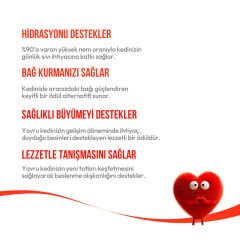 Wanpy Somonlu Laktozsuz Tahılsız Yavru Kedi Krema Ödülü 5x14 g