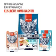 Wanpy Somonlu Laktozsuz Tahılsız Yavru Kedi Krema Ödülü 5x14 g