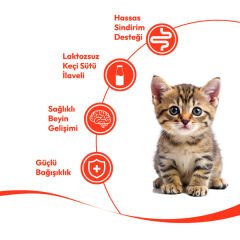 Wanpy Somonlu Laktozsuz Tahılsız Yavru Kedi Krema Ödülü 5x14 g