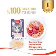 Wanpy Ton Balıklı & Kızılcıklı Kısırlaştırılmış Tahılsız Kedi Krema Ödülü 5×14 g