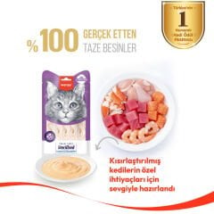 Wanpy Ton Hindi & Kızılcıklı Kısırlaştırılmış Tahılsız Kedi Krema Ödülü 5×14 g