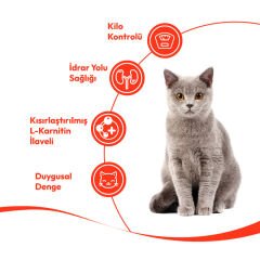 Wanpy Ton Hindi & Kızılcıklı Kısırlaştırılmış Tahılsız Kedi Krema Ödülü 5×14 g