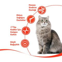 Wanpy Tavuklu & Ciğerli +7 Yaş Tahılsız Kedi Krema Ödülü 5×14 g