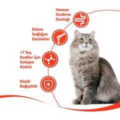 Wanpy Ton Balıklı +7 Yaş Tahılsız Kedi Krema Ödülü 5×14 g