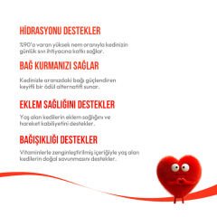 Wanpy Ton Balıklı +7 Yaş Tahılsız Kedi Krema Ödülü 5×14 g