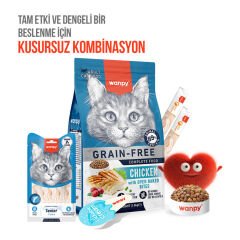 Wanpy Ton Balıklı +7 Yaş Tahılsız Kedi Krema Ödülü 5×14 g