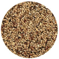 G1 Experience Şalgamsız Perillalı Kanarya Üretici Yemi (Bölünmüş Vakum Paket) 1 kg