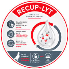 Versele Laga Oropharma Recup-Lyt Elektrolit Desteği 240 g