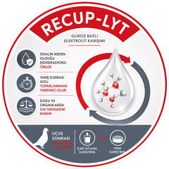 Versele Laga Oropharma Recup-Lyt Elektrolit Desteği 1 adet