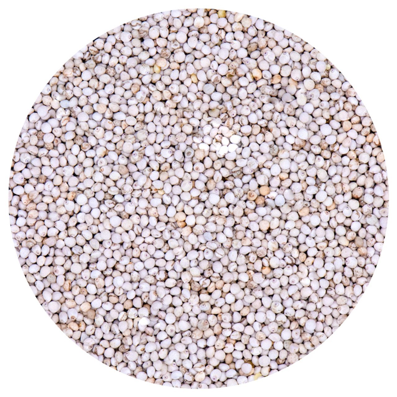 G1 Experience Beyaz Perilla Tohumu (Vakum Paket) 1 Kg